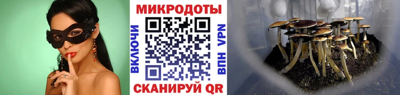 Купить закладки  Чебоксары  Галлюциногенные грибы MAGIC MUSHROOMS 